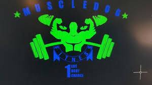 Gurugram-Sector-14-Muscledog-the-fitness_584_NTg0