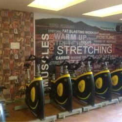 New-Delhi-Vasant-Kunj-The-Bodyline-Gym_773_Nzcz