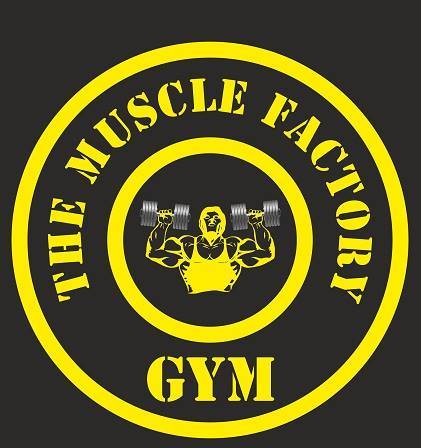 Vadodara-Sayajigunj-The-Muscle-Factory_1073_MTA3Mw