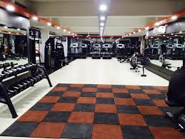 vadodara-harni-Lifetime-Fitness_2539_MjUzOQ_OTIwOQ