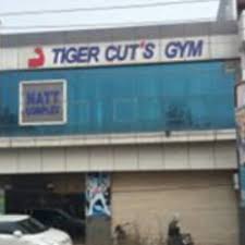Ludhiana-Naveen-Nagar-Tiger-Cut-Gym_1914_MTkxNA_NzEzNQ