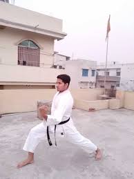 muzaffarpur-shanti-sadan-Martial-Arts-Training-Centre_1852_MTg1Mg_NDU0Mg