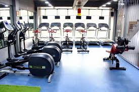 Ludhiana-Urban-Estate-Dugri-Oxen-Gym-&-Spa-Best-Fitness-Center_2063_MjA2Mw_NjE3MA