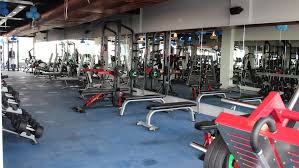 Ludhiana-Field-Gunj-RD-Fitness-(unisex gym)_2076_MjA3Ng_NTMzMA