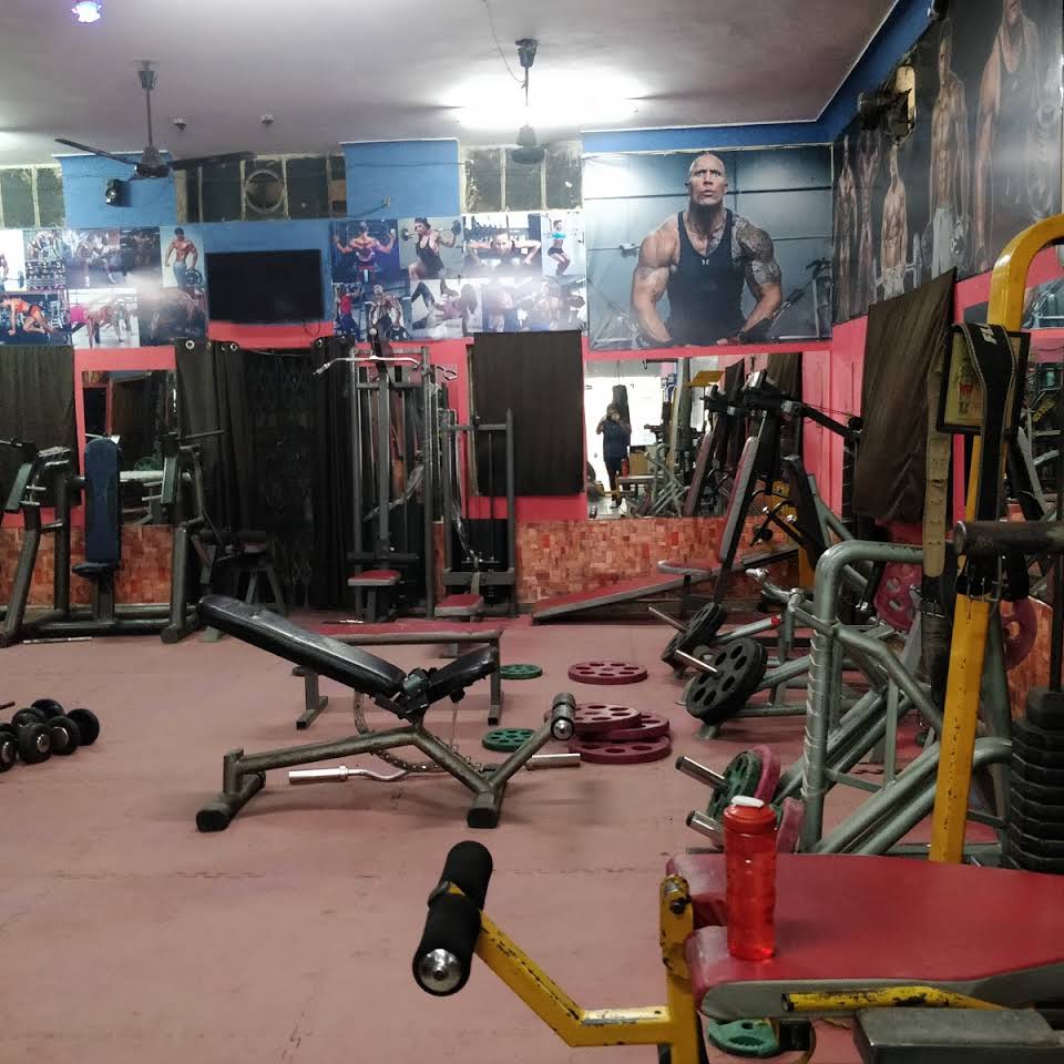 New-Delhi-Palam-Muscle-O-mania-Gym_789_Nzg5_MjgxMA