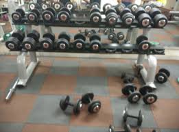 Gurugram-Sector-23-Body-fitness-gym_626_NjI2_Mjk3Mg