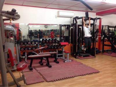 Gurugram-Sector-56-Fitness-Addiction-Gym_694_Njk0_Mjg0OA