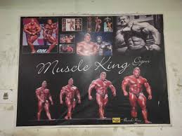 Phagwara-Prem-Nagar-Muscle-King-Gym_2216_MjIxNg_NTI1MA