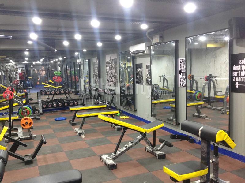 chandigarh-sector-33-Akhada-Health-and-Fitness-Club-Best-Gym_1176_MTE3Ng_OTY0MQ